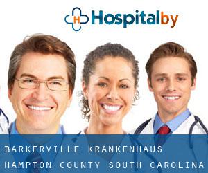 Barkerville krankenhaus (Hampton County, South Carolina)