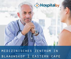 Medizinisches Zentrum in Blaauwskop (1) (Eastern Cape)