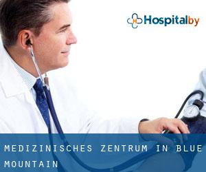 Medizinisches Zentrum in Blue Mountain