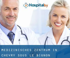 Medizinisches Zentrum in Chevry-sous-le-Bignon