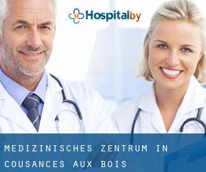 Medizinisches Zentrum in Cousances-aux-Bois