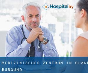 Medizinisches Zentrum in Gland (Burgund)