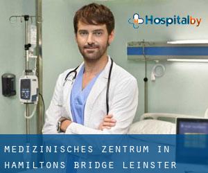 Medizinisches Zentrum in Hamilton's Bridge (Leinster)