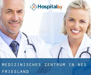Medizinisches Zentrum in Nes (Friesland)