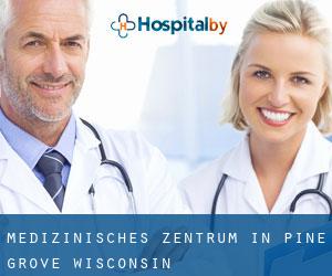 Medizinisches Zentrum in Pine Grove (Wisconsin)