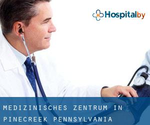 Medizinisches Zentrum in Pinecreek (Pennsylvania)