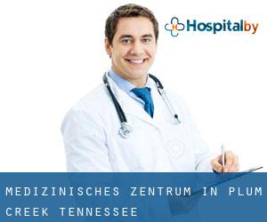 Medizinisches Zentrum in Plum Creek (Tennessee)