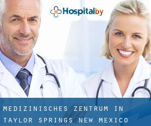 Medizinisches Zentrum in Taylor Springs (New Mexico)