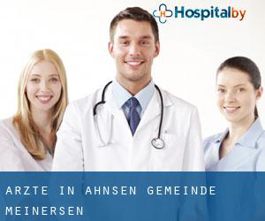 Ärzte in Ahnsen (Gemeinde Meinersen)