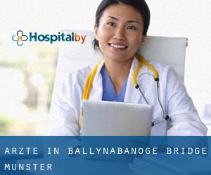 Ärzte in Ballynabanoge Bridge (Munster)