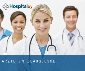 Ärzte in Beauquesne