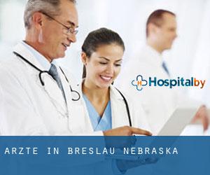 Ärzte in Breslau (Nebraska)