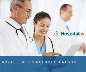 Ärzte in Cornucopia (Oregon)