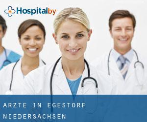 Ärzte in Egestorf (Niedersachsen)