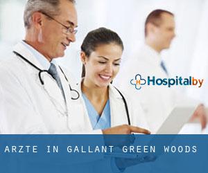 Ärzte in Gallant Green Woods