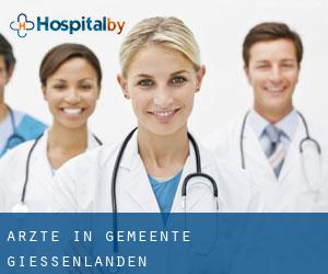 Ärzte in Gemeente Giessenlanden