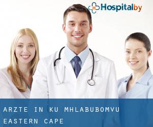 Ärzte in Ku-Mhlabubomvu (Eastern Cape)