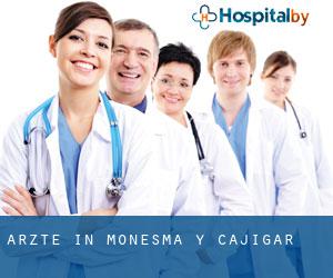 Ärzte in Monesma y Cajigar