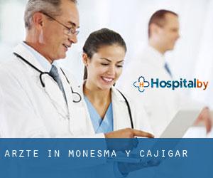 Ärzte in Monesma y Cajigar