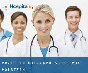 Ärzte in Niesgrau (Schleswig-Holstein)