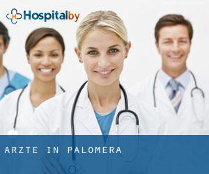 Ärzte in Palomera