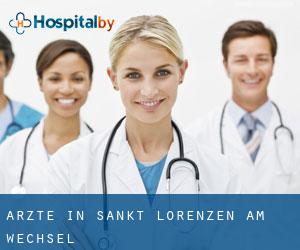 Ärzte in Sankt Lorenzen am Wechsel