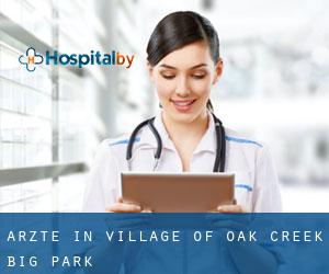 Ärzte in Village of Oak Creek (Big Park)
