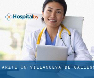 Ärzte in Villanueva de Gállego