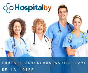 Cures krankenhaus (Sarthe, Pays de la Loire)