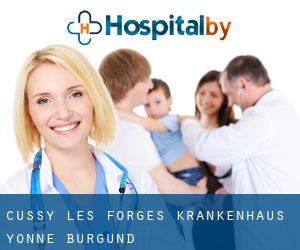 Cussy-les-Forges krankenhaus (Yonne, Burgund)