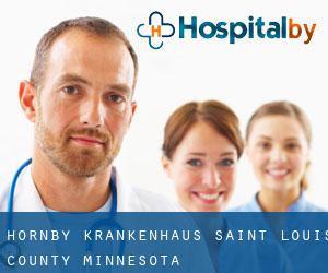 Hornby krankenhaus (Saint Louis County, Minnesota)