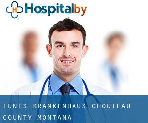 Tunis krankenhaus (Chouteau County, Montana)